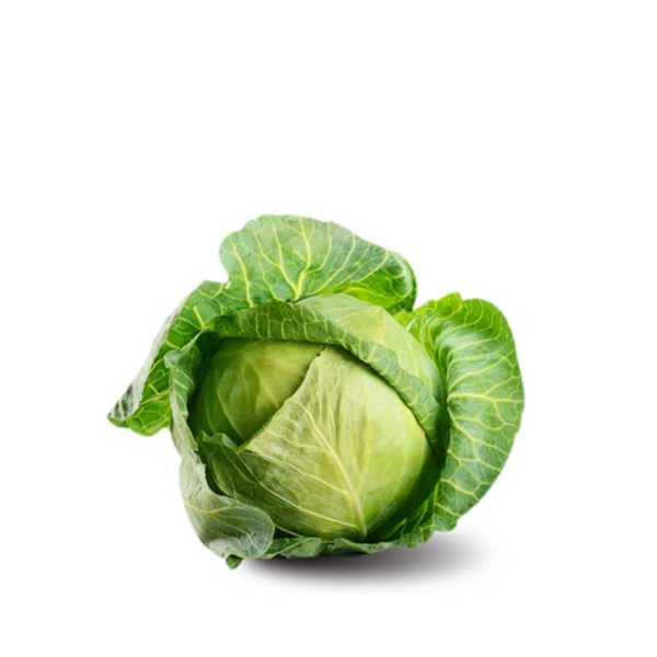 Cabbage