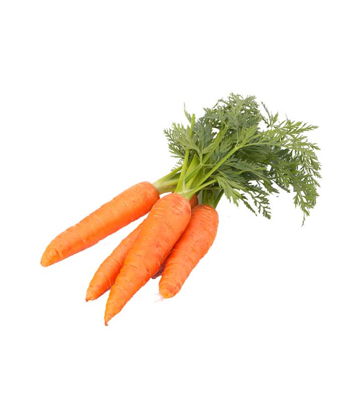 Carrots-1.jpg Carrot - Image 1