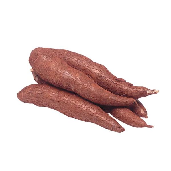 Cassava