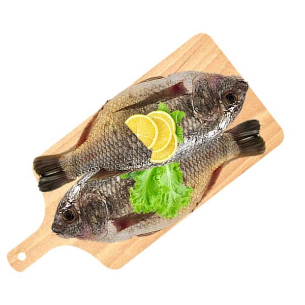 Fresh Chambo