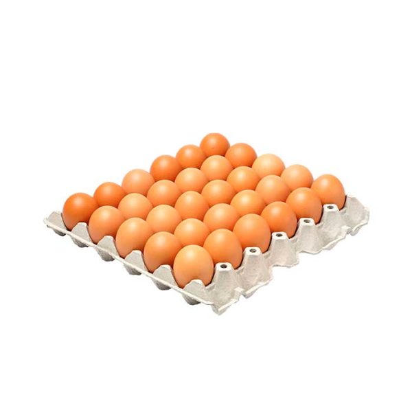 Full Tray Eggs