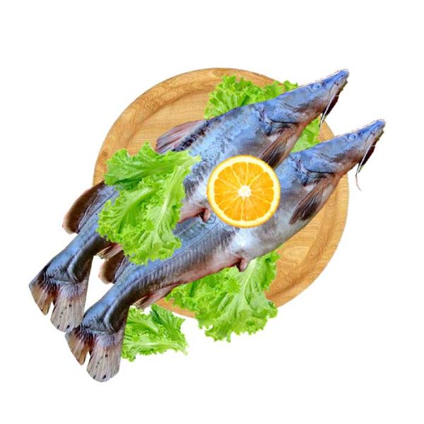 Fresh Kampango
