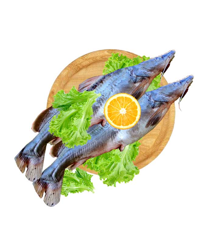 Kampango-1.jpg Fresh Kampango - Image 1