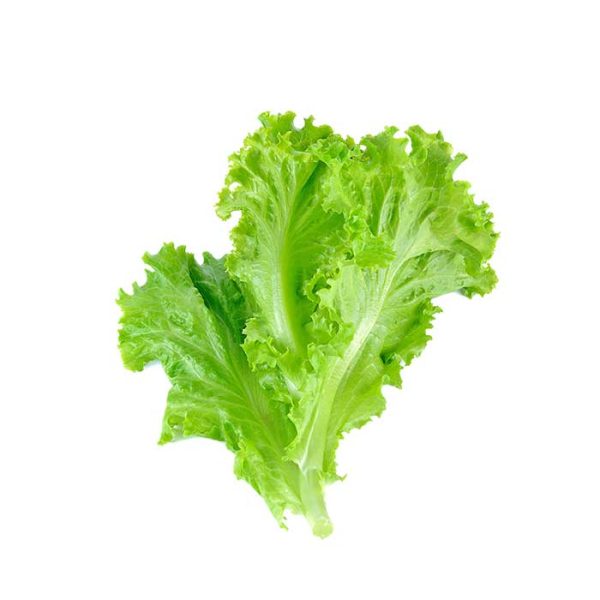 Lettuce