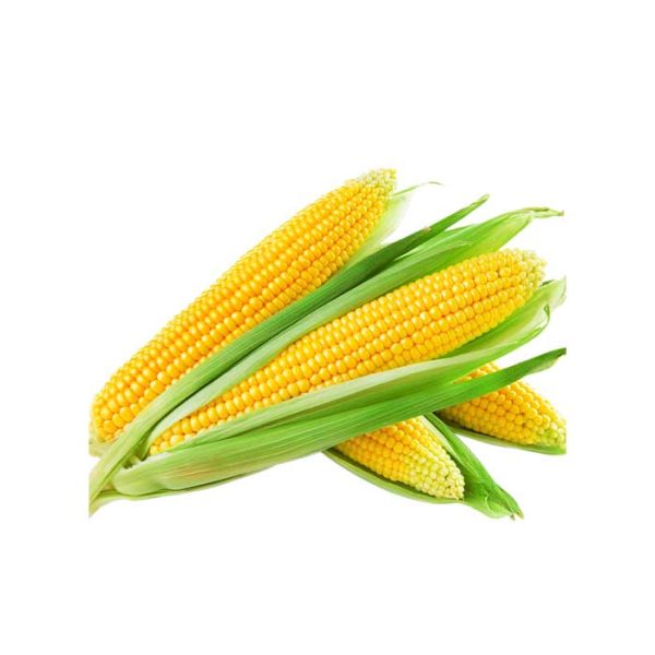 Maize Cobs