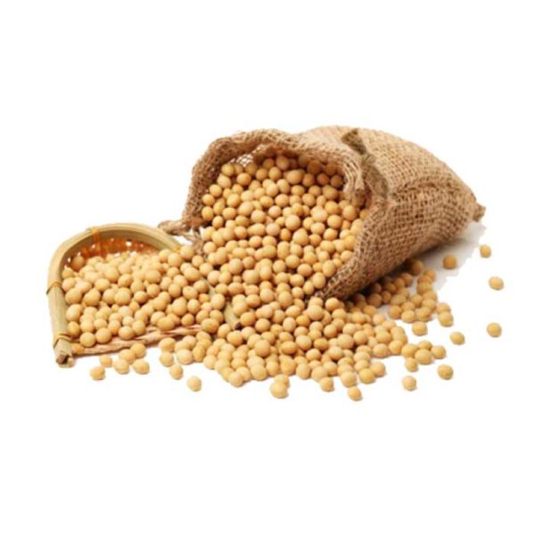 Soya Beans